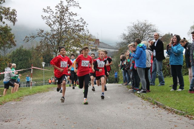 crosscountry2016_bezirkperg 9